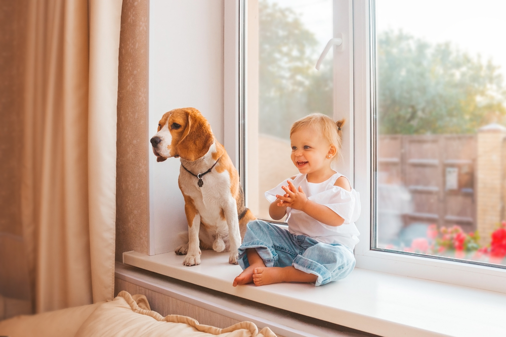 unutrasnje podprozorske daske